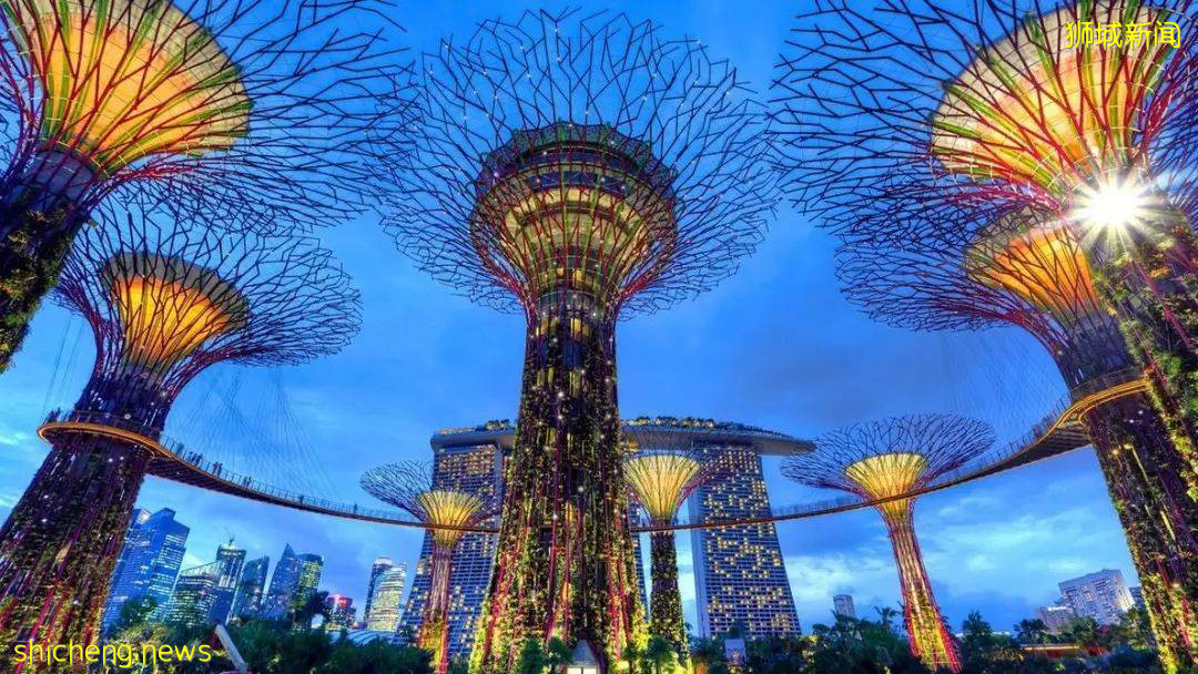 新加坡留学生签证申请流程