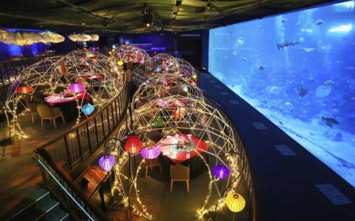 新加坡SEA海洋馆深蓝夜宴【新春特别版】登场!海底舞龙贺岁又来啦