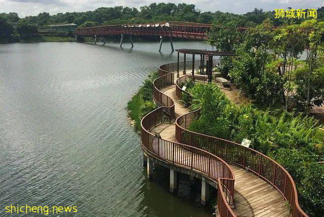 约跑吗？那就收下这份狮城最美夜跑路线图吧