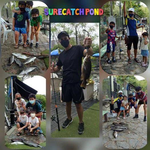 新加坡最好玩的海灘公園!趕海、騎馬、劃艇、樹籬迷宮、燒烤露營,超適合家庭出遊