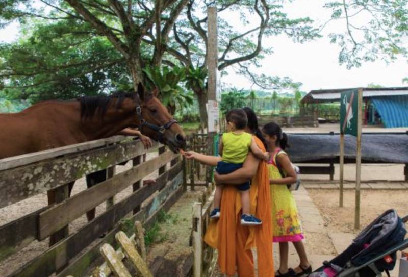 吐血整理！2020年新加坡30個最值得去的免費地方，你打卡沒