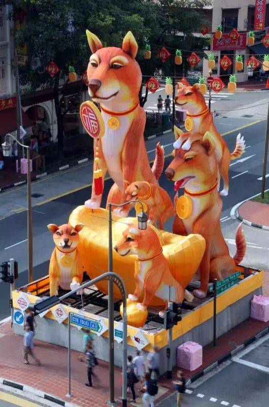 新加坡牛車水驚現各種成語，徹底火了！網友：跟看《花木蘭》心情一樣