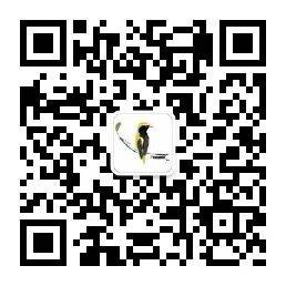 新加坡留學優勢及費用!