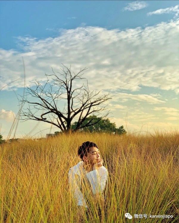 免费网红打卡胜地,你去过几个