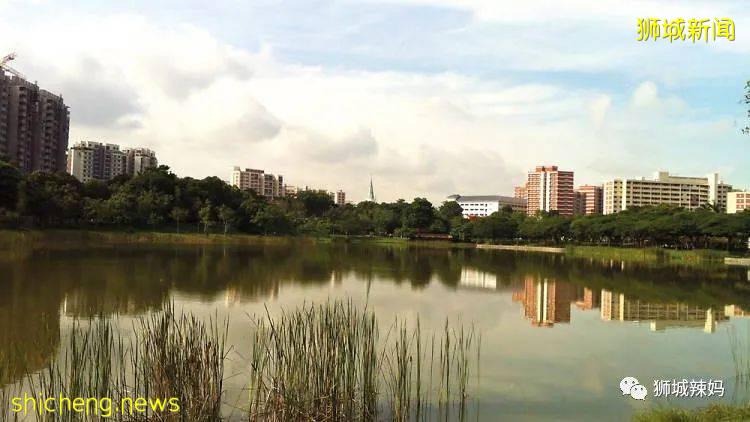 新加坡本地孩子都愛去玩的10個兒童公園，鍛煉身體，結識新朋友 .