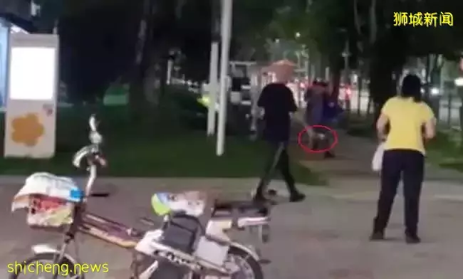 倒酒倒出火 酒客大混戰 酒女也動手