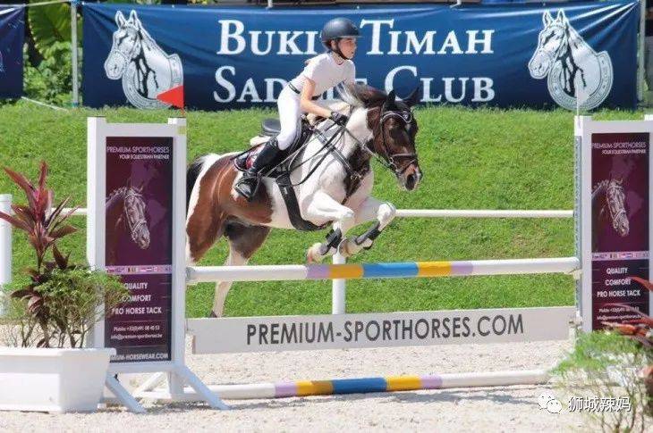 新加坡5大热门马术俱乐部，从平价到高档！3岁就可以开始学啦