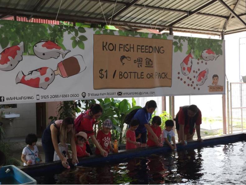 新加坡國民娛樂新玩法,養生釣蝦約不約