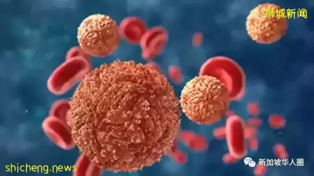 奧密克戎BA.4和BA.5入侵新加坡，即使染疫過也容易二度感染