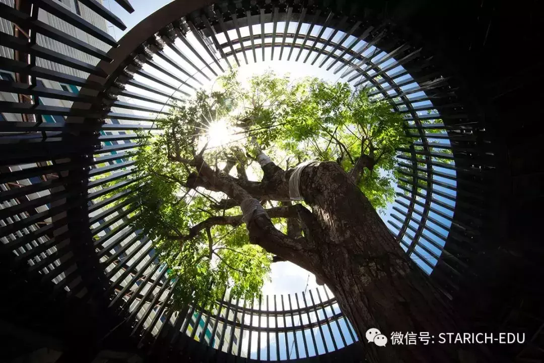 一所科技感十足的国际学校,教室居然长这样