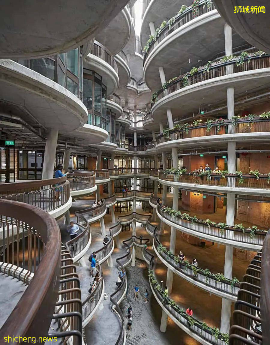 南洋理工大學 Hive 藏在校園裏的“小籠包”