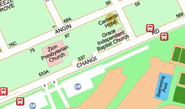 沿樟宜路上段537号一带：叫价1600万新元收购永久地契产权别墅