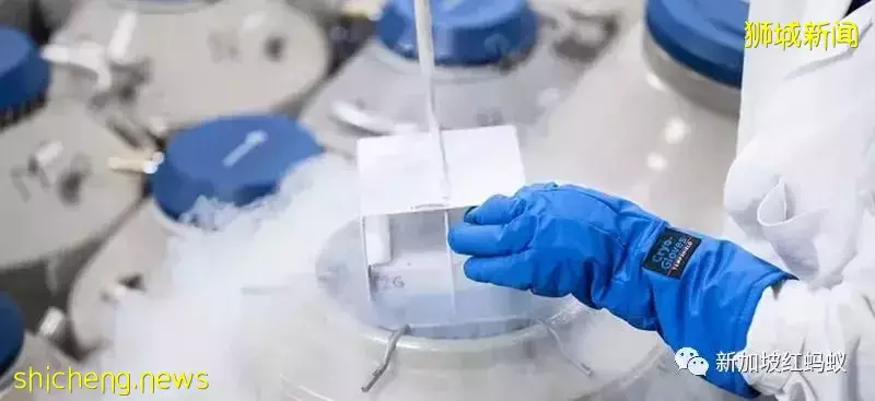 新加坡将允许21至35岁已婚或单身女性冻卵,但设下两大限制