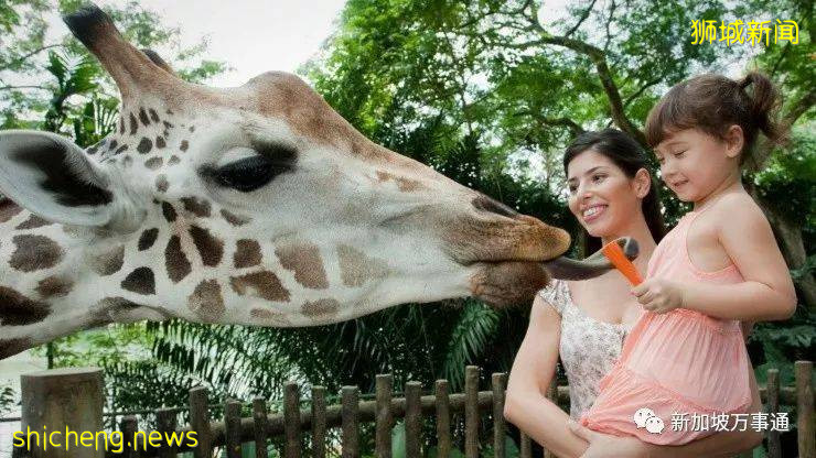 什麽是新加坡?盤點那些你不知道的新加坡知識