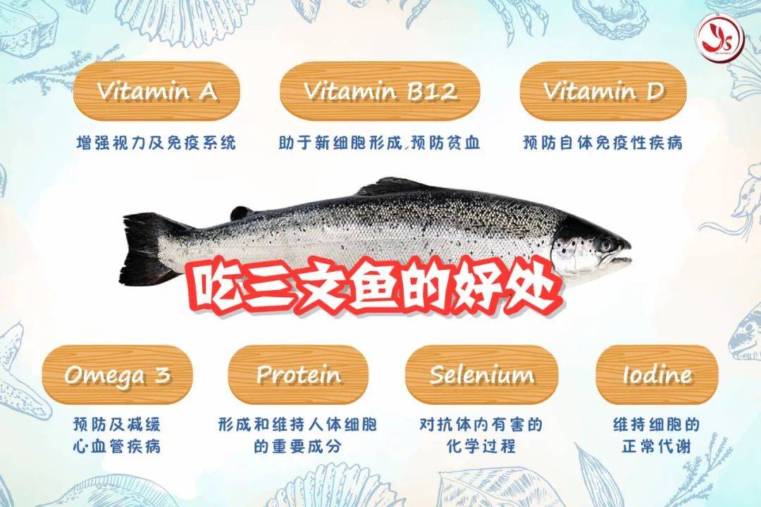 新加坡寶藏生鮮網店！帝王三文魚、日本A5和牛、有機土雞、爆汁肉丸，媽媽們的最佳選擇