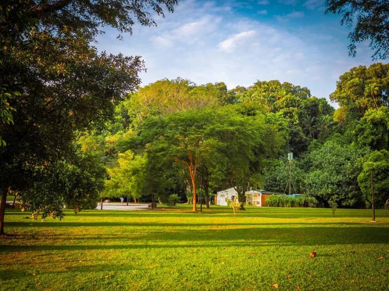 每一張都是 Ins 大片！這樣的新加坡你見過嗎