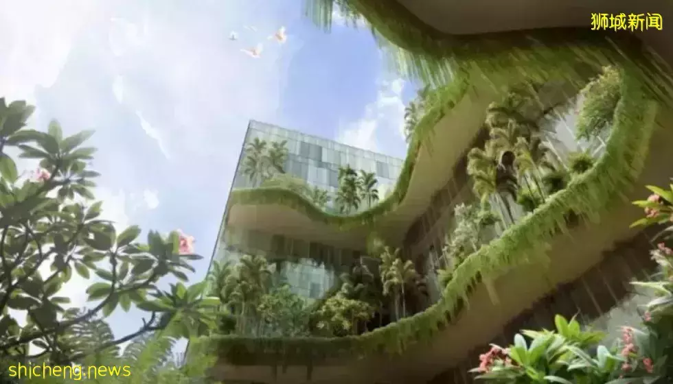 让“碳中和”城市化？亚洲最绿色城市是这么做的