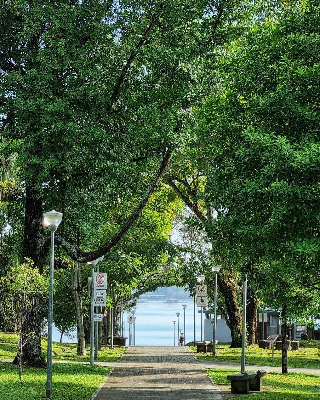 戶外燒烤好去處😎 新加坡戶外燒烤台合集!聚會必收藏系列💥 吹水聚餐好地方