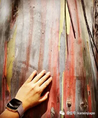 新加坡十大网红打卡圣地全览:绝美彩虹散落在人间