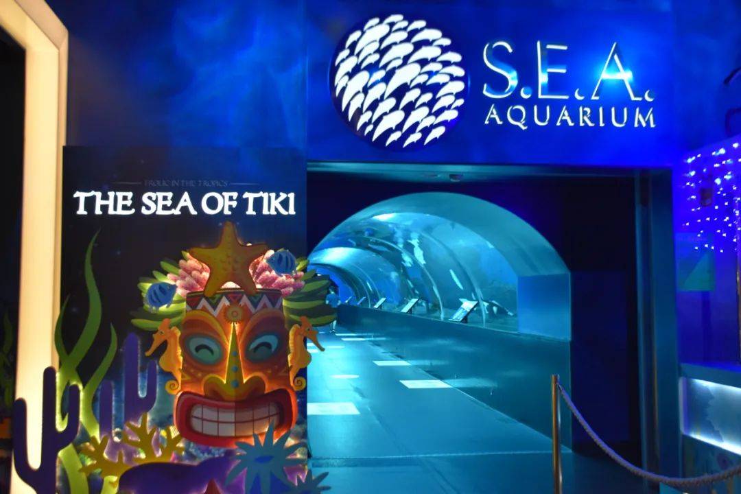 厉害了!他们居然将半个夏威夷搬来了新加坡