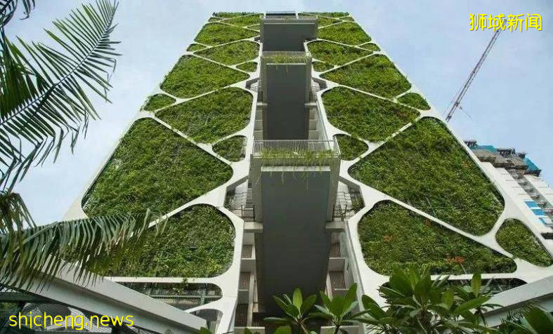 新加坡花園城市的樣子,或許是重慶樓市的未來!