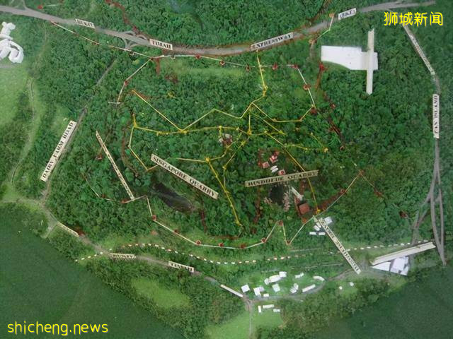 那些奇奇怪怪的知识(新加坡下)