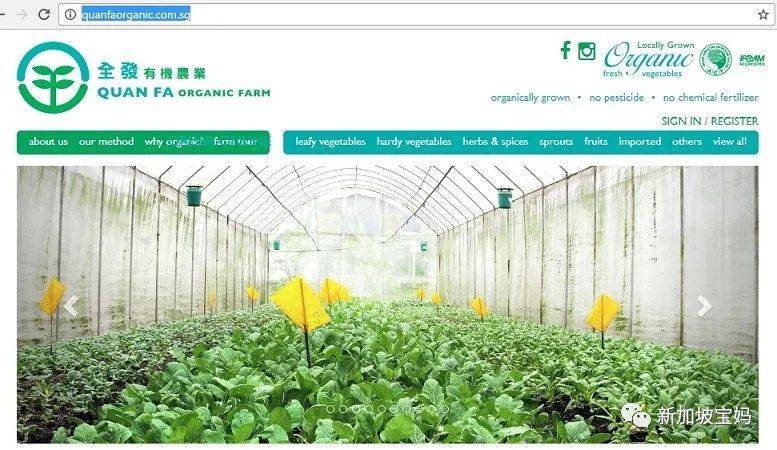 收藏!新加坡最全线上超市购物攻略