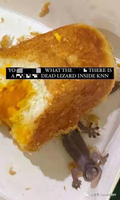 它藏在面包中，“虎”视眈眈的瞪着你