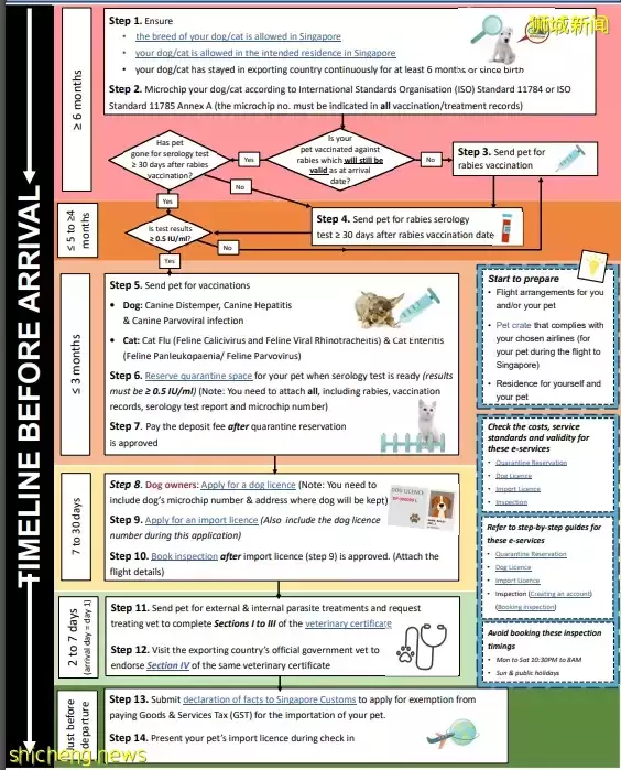耗时6个月,隔离30天,我的宝贝终于来新加坡跟我团聚了