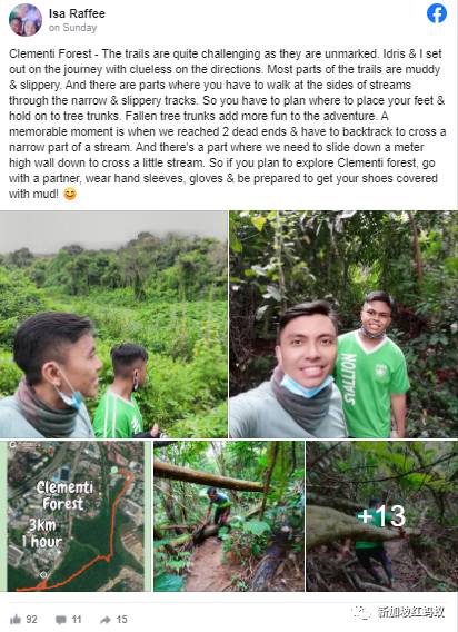 新加坡隐藏版秘境 绝美的金文泰森林