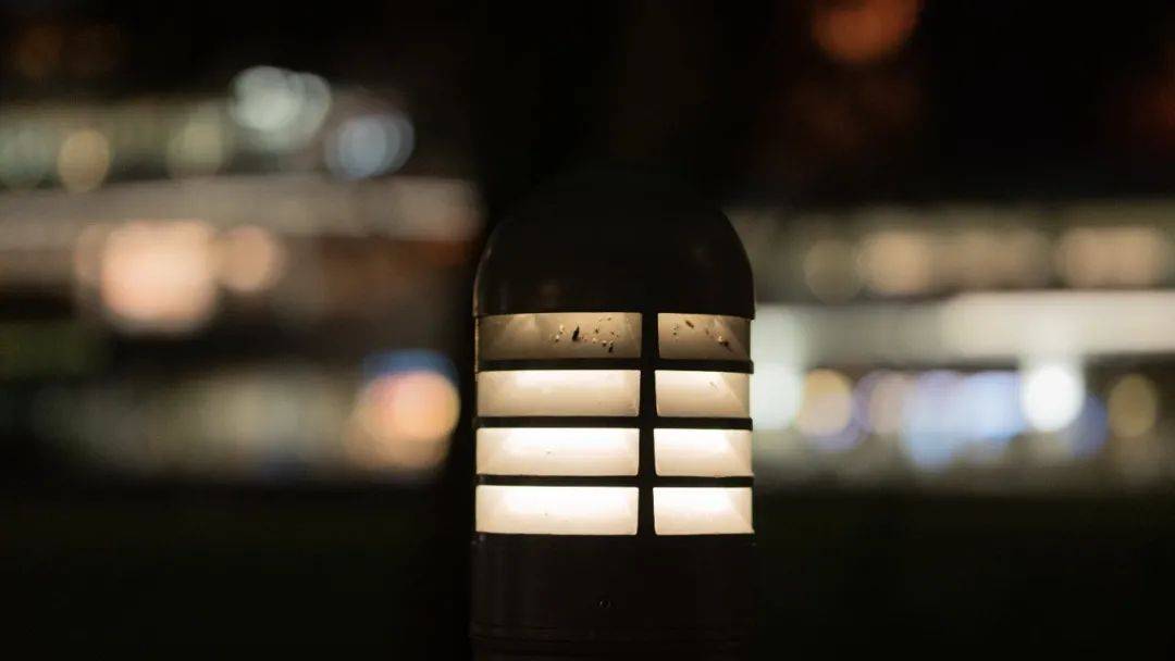 人間四月,來感受新加坡國立大學的春天