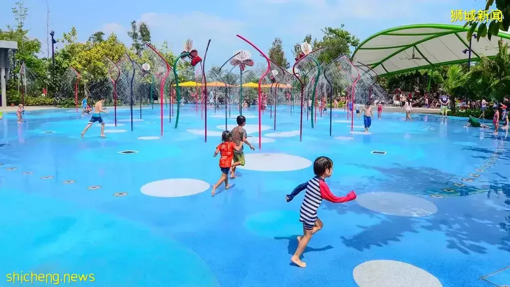 学校假期到，带娃出去玩水咯！精选新加坡亲子水上乐园，免费不用钱😎炎炎夏日泡在水池里💧 