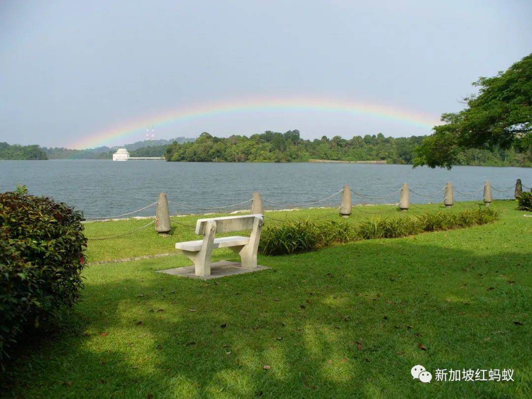 小小的新加坡竟有17個水庫　一個比一個清幽秀麗