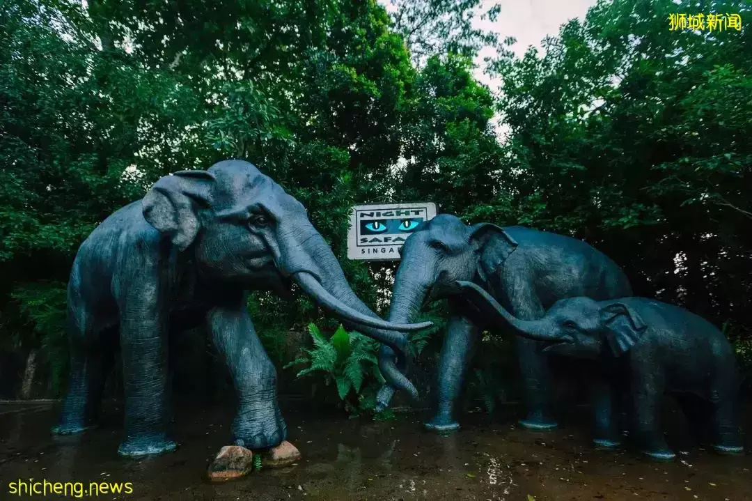 遊獅城 雷區勿踩!出遊秘籍看這篇