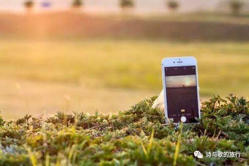 放着也没人偷?新加坡独特文化,用手机占位子