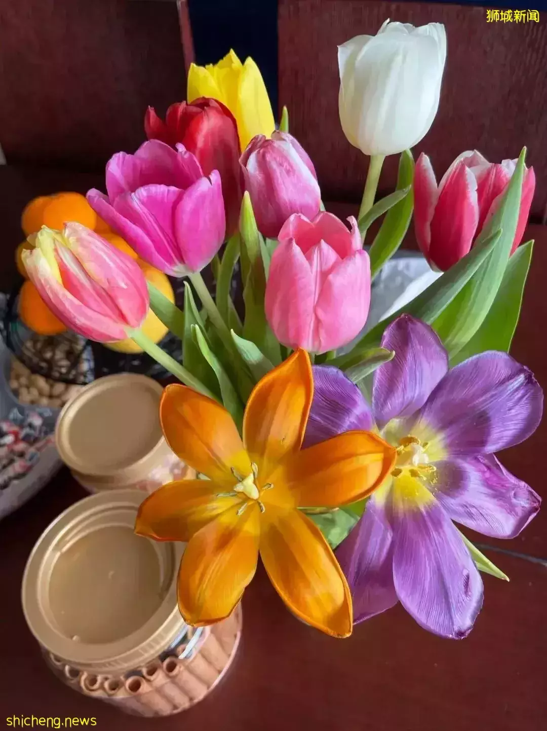 鮮花在熱帶也能養1個月？資深花友新加坡買花、養護大揭秘