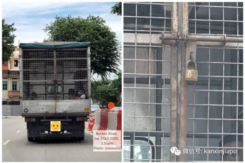 新加坡虽小，但奇葩事件相当多，你曾遇过这些吗