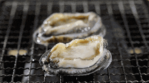 新加坡50种新年鲍鱼价格比拼!哪里能买到最便宜的