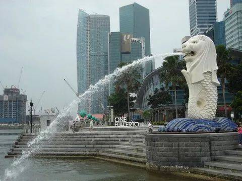 新加坡护士详细介绍