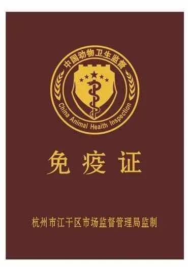 如何從新加坡帶寵物回中國？鏟屎官回國最全攻略！必須收藏