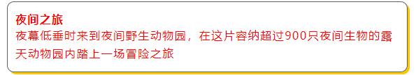 新加坡夜色玫瑰—夜间动物园