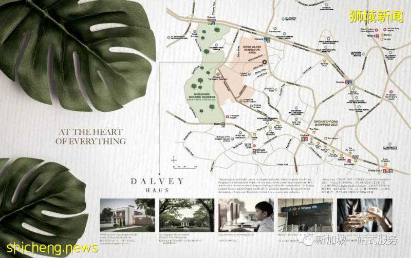 最美麗的自然風光: 新加坡植物園!