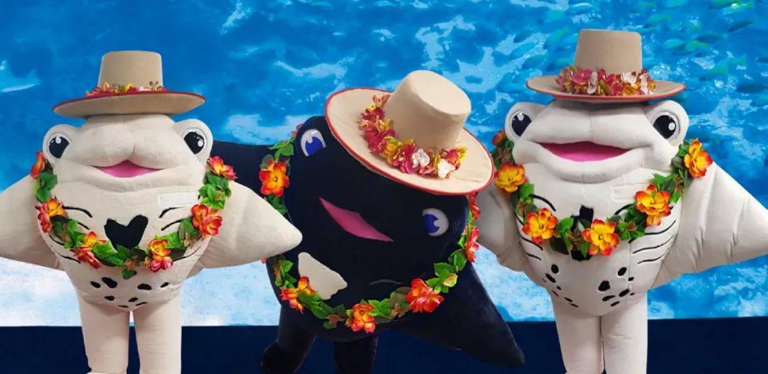 "夏威夷”來新加坡啦