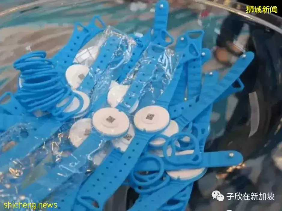 超幸運!疫情期間在新加坡坐郵輪,普通房免費升級成帶管家服務的星級套房