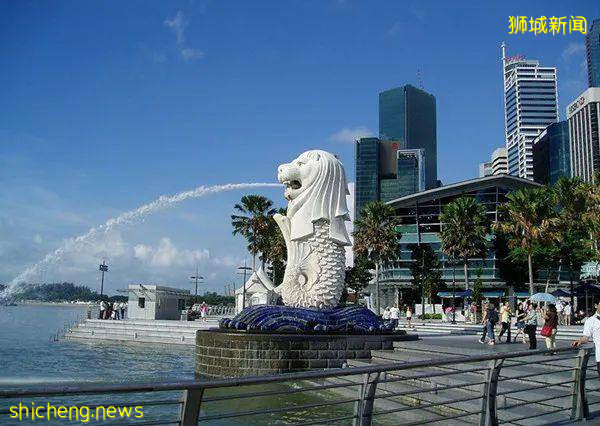 2021新加坡极简报告 投资环境