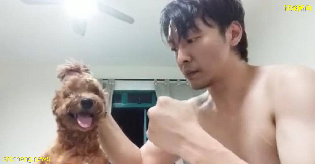 绑嘴 毒打 当训练 买狗施酷刑 拍片得意笑