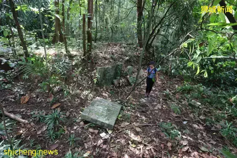 意外！新加坡单亲妈妈徒步身亡，远足需要注意这些