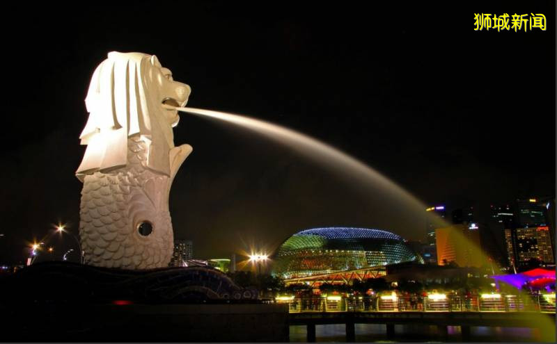 了解下新加坡保险