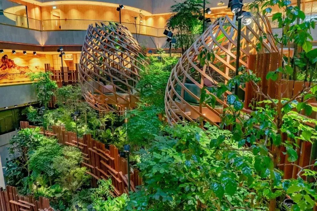 拥有2400多种植物,还有小鸟生活,新加坡这家酒店太美