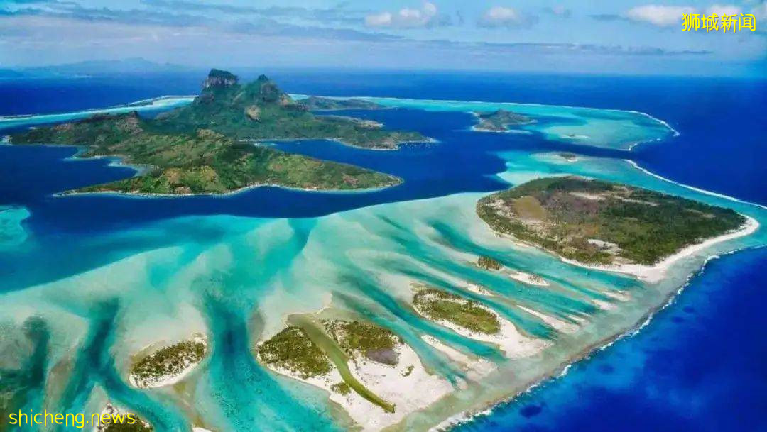 打破传统市区游，轻松逛新加坡两大后花园